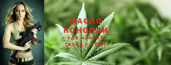 молекула духа Ладушкин