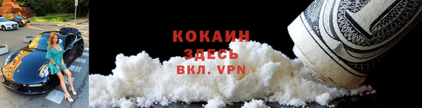 прущие грибы Лабытнанги