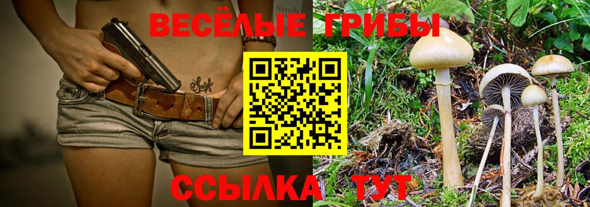 Галлюциногенные грибы Cubensis Белебей